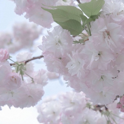 塔城FurryQQ群介绍